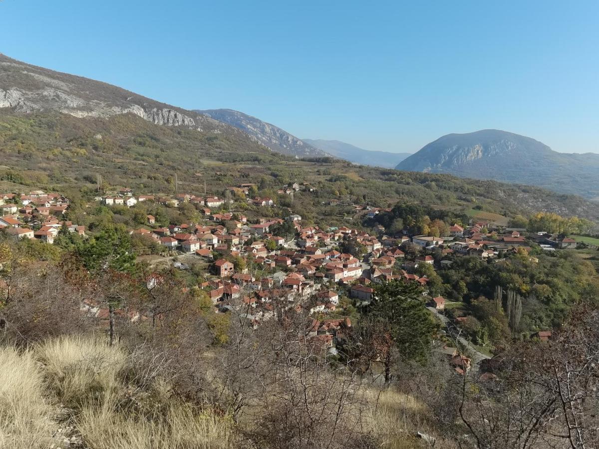 Konak -Guest House -Ramonda Serbika Ni Kültér fotó