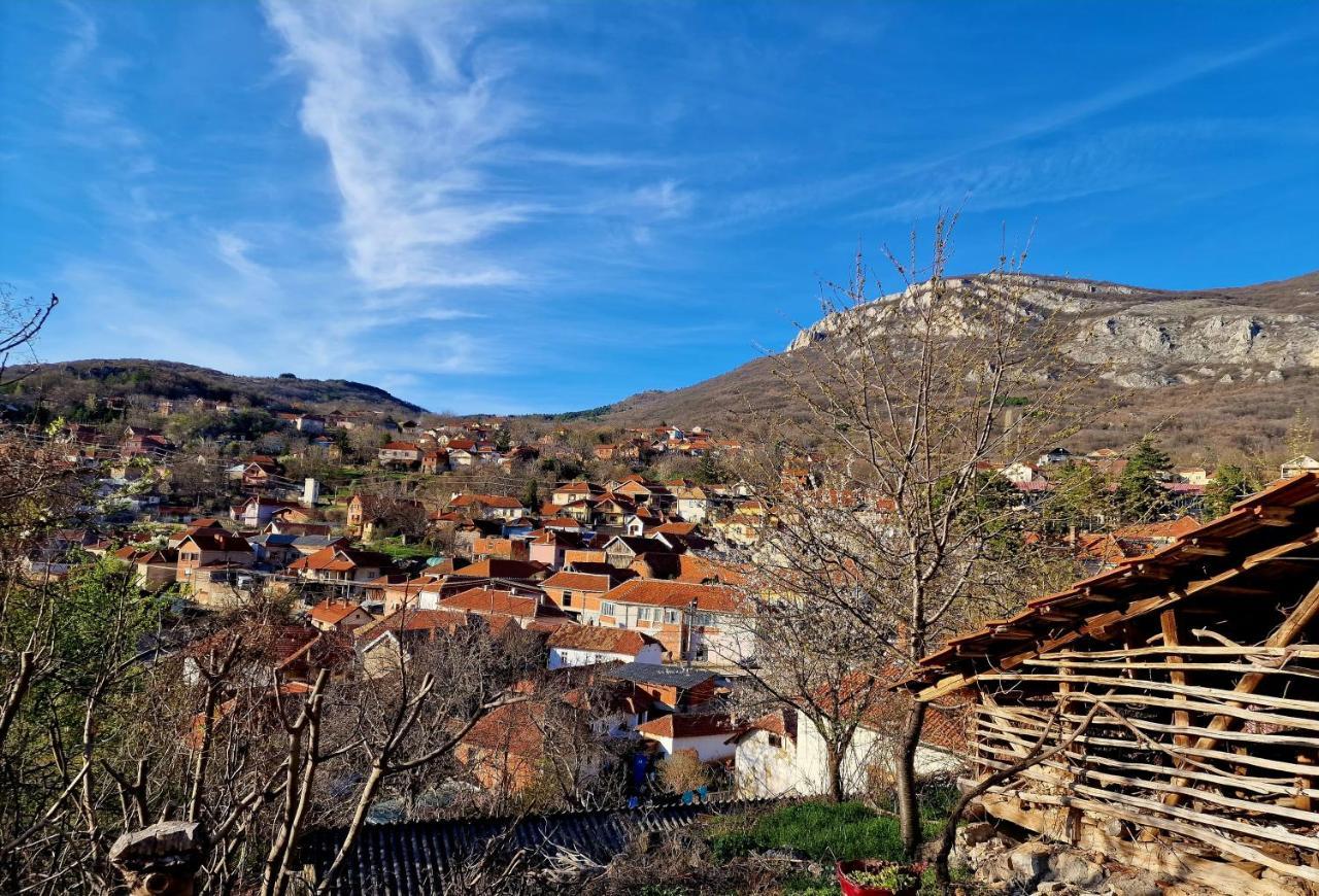 Konak -Guest House -Ramonda Serbika Ni Kültér fotó