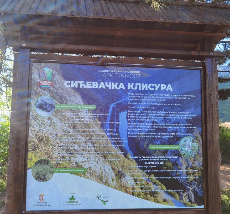 Konak -Guest House -Ramonda Serbika Ni Kültér fotó