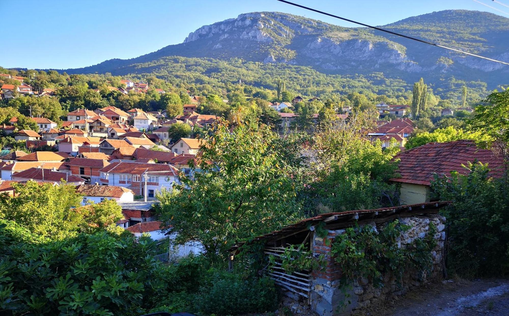 Konak -Guest House -Ramonda Serbika Ni Kültér fotó